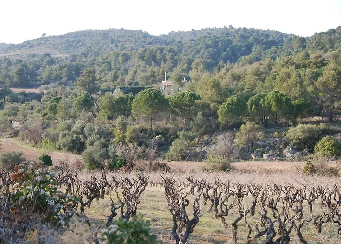 La Petite Cigale Cesseras