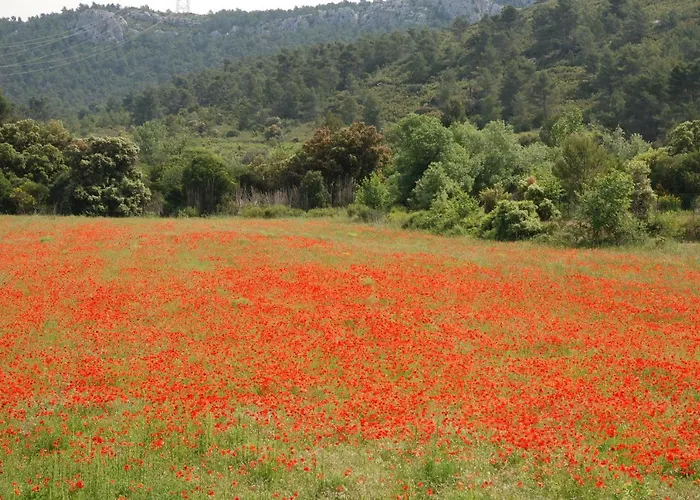 Feriehus La Petite Cigale *